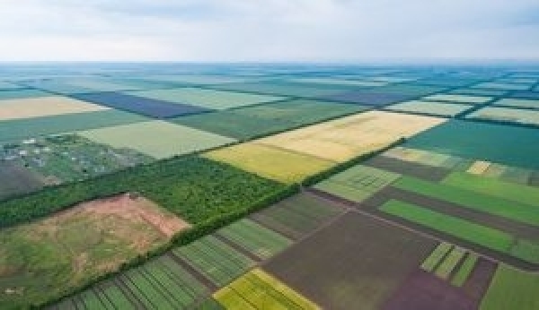 Новий етап земельної реформи: Бізнес почав скуповувати землю